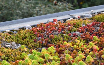 the cost of Romsey Town green roof installation