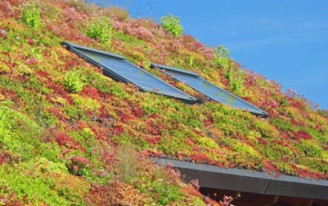 Romsey Town living roof systems